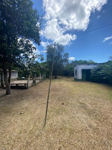 Foto Fazenda / Sítio / Chácara