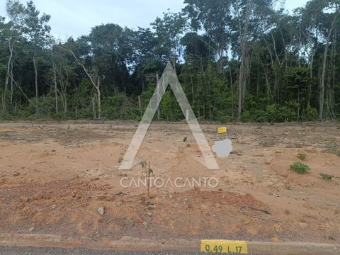 Foto Terreno