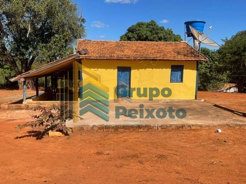 Foto Fazenda / Sítio / Chácara