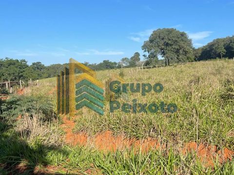 Foto Fazenda / Sítio / Chácara