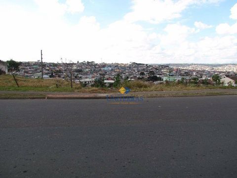 Foto Terreno