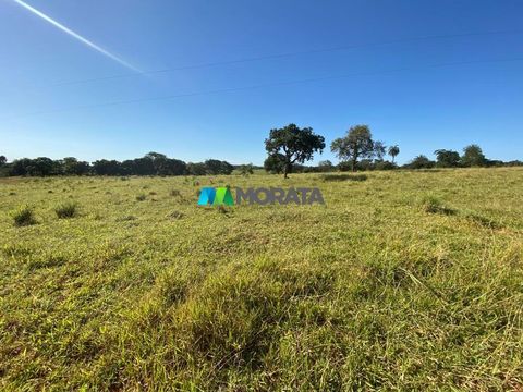 Foto Fazenda / Sítio / Chácara