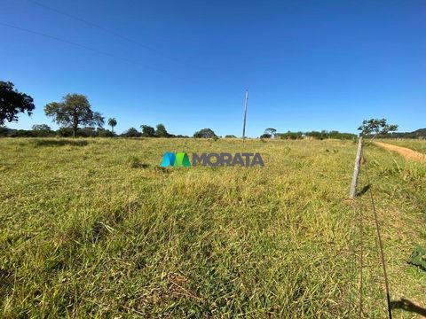 Foto Fazenda / Sítio / Chácara