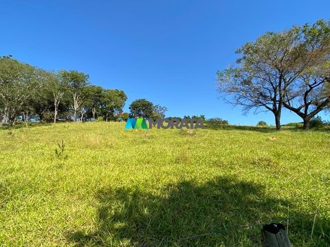 Foto Fazenda / Sítio / Chácara