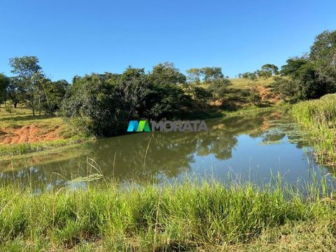 Foto Fazenda / Sítio / Chácara