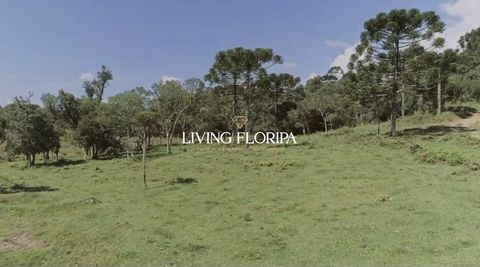 Foto Sala / Conjunto Comercial