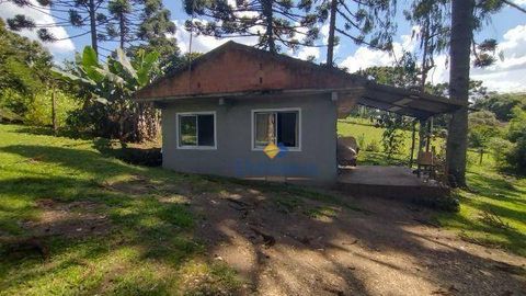 Foto Fazenda / Sítio / Chácara