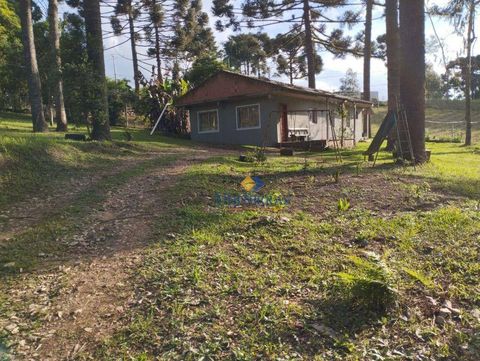 Foto Fazenda / Sítio / Chácara