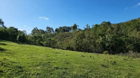 Foto Fazenda / Sítio / Chácara