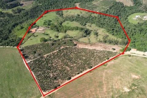 Foto Fazenda / Sítio / Chácara