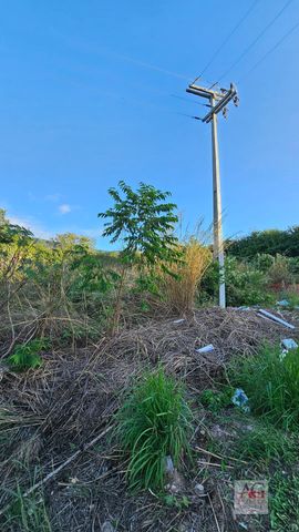 Foto Terreno