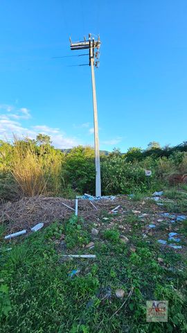Foto Terreno