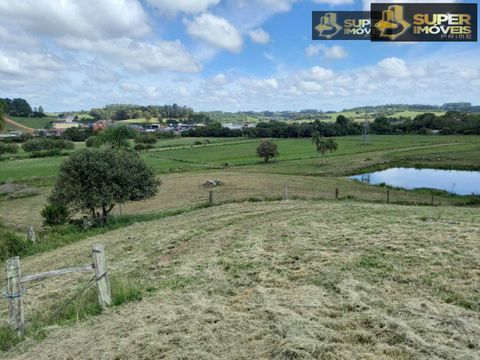 Foto Fazenda / Sítio / Chácara