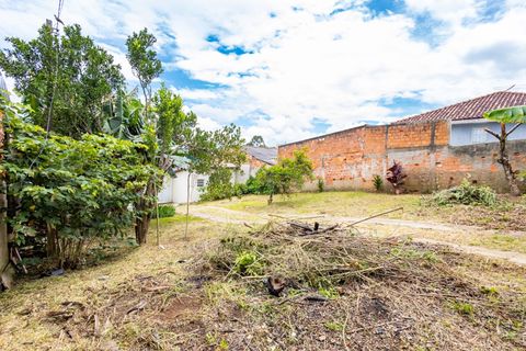 Foto Terreno