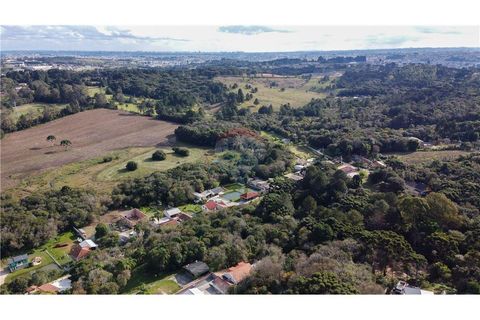 Foto Terreno