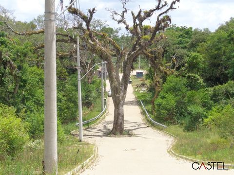 Foto Terreno