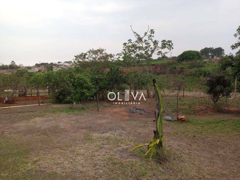 Foto Fazenda / Sítio / Chácara