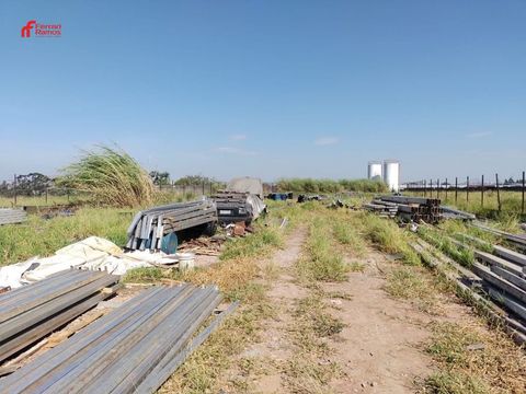 Foto Sala / Conjunto Comercial