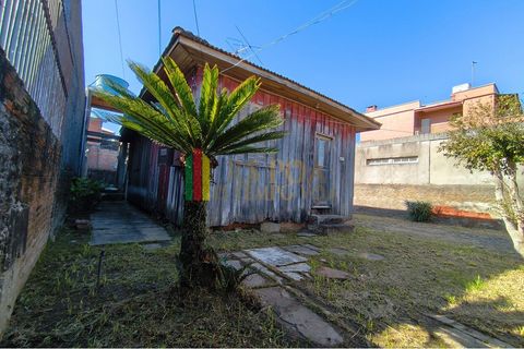 Foto Terreno