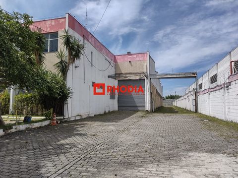 Foto Galpão / Depósito / Armazém / Pavilhão