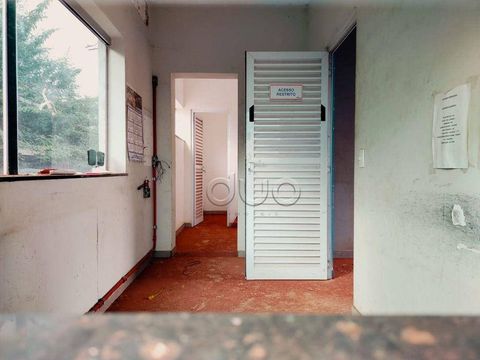 Foto Terreno