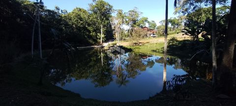 Foto Terreno
