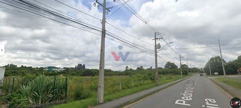 Foto Terreno