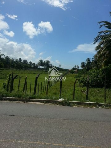 Foto Terreno
