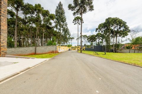 Foto Terreno