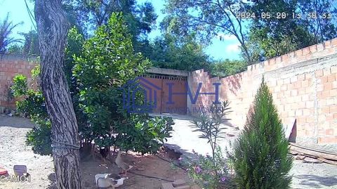 Foto Fazenda / Sítio / Chácara