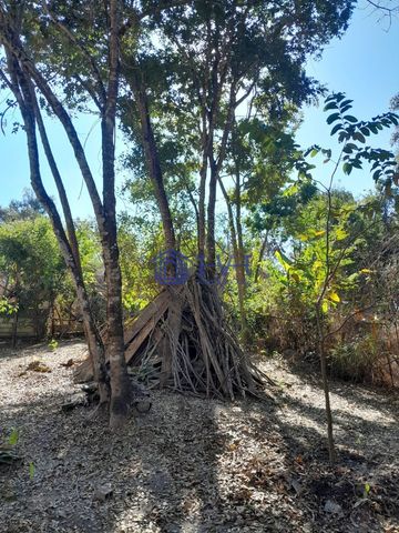 Foto Fazenda / Sítio / Chácara