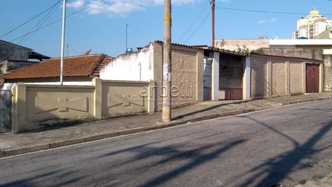 Foto Terreno