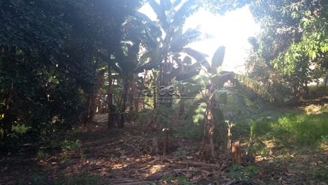 Foto Terreno
