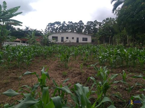 Foto Fazenda / Sítio / Chácara