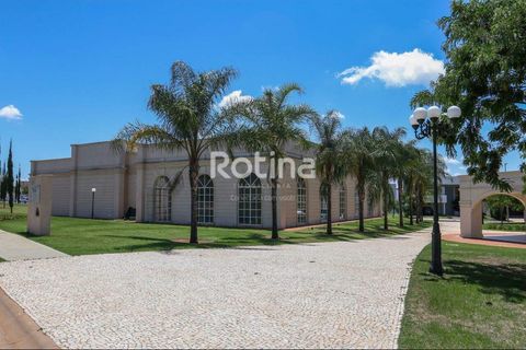 Foto Terreno