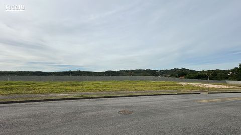 Foto Terreno