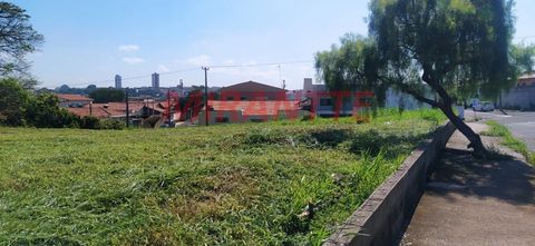 Foto Terreno