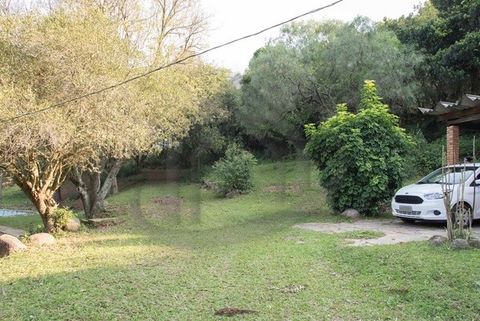 Foto Fazenda / Sítio / Chácara