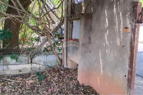 Foto Terreno