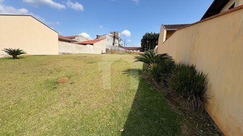 Foto Terreno