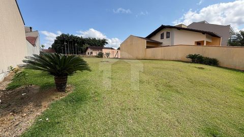 Foto Terreno