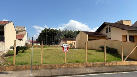 Foto Terreno