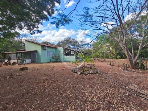 Foto Fazenda / Sítio / Chácara