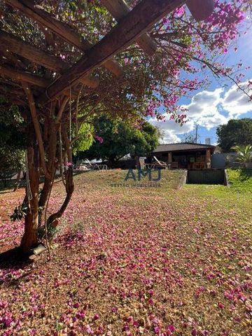 Foto Fazenda / Sítio / Chácara