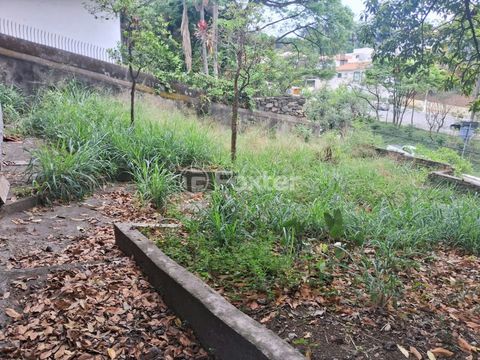 Foto Terreno