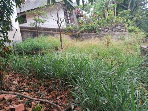 Foto Terreno