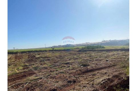 Foto Terreno