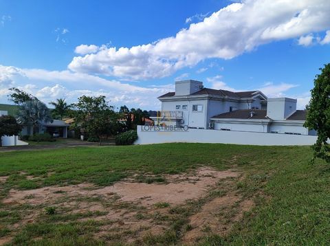 Foto Terreno