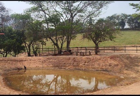 Foto Fazenda / Sítio / Chácara