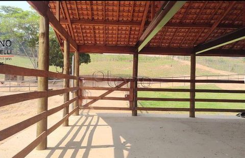 Foto Fazenda / Sítio / Chácara